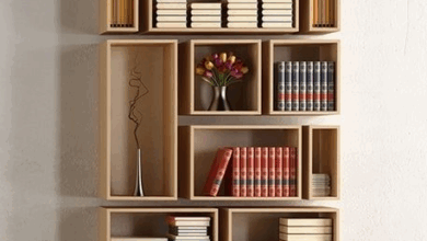 Creative Bookshelves