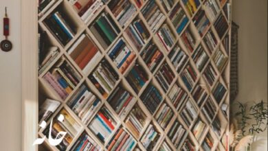 Creative Bookshelves