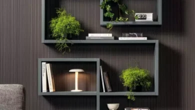 Creative Bookshelves