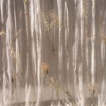 Curtains And Drapes