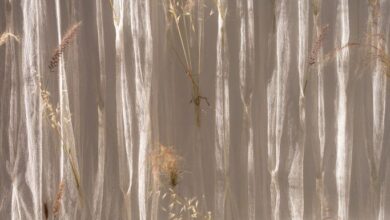 Curtains And Drapes