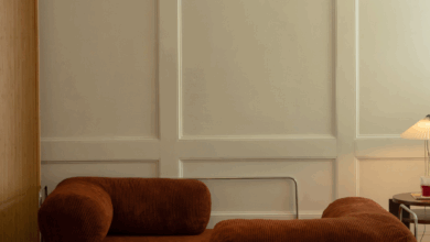 Design sofa beds