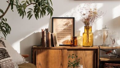 Designs Interior