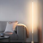 Dimmer floor lamp
