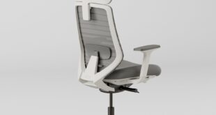 Ergonomic Chair