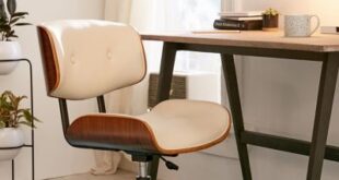 Ergonomic Desk Chair