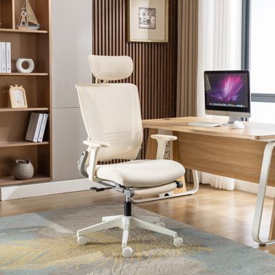 Ergonomic Mesh Office Chair