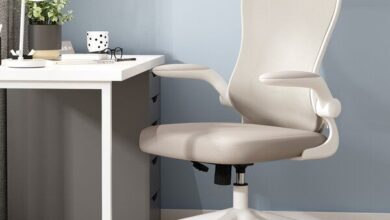 Ergonomic Task Chair