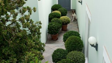 Exterior lighting guide