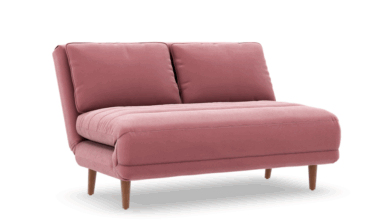 Fold Out Loveseat Sofas