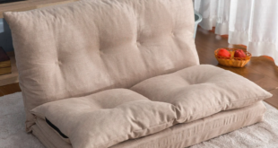 Fold Out Loveseat Sofas