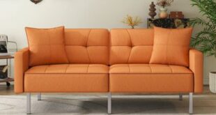 Fold Out Loveseat Sofas