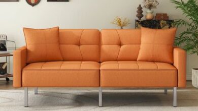 Fold Out Loveseat Sofas