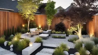 Front Yard Landscaping