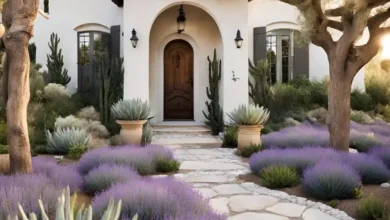 Front Yard Landscaping