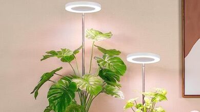 Full spectrum desk lamp