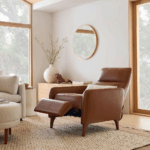 Furniture Recliners