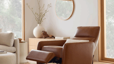 Furniture Recliners