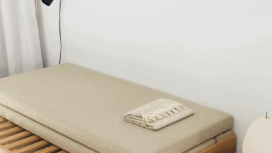Furniture Sofa Bed
