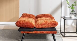 Futon Loveseat