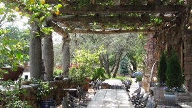 Garden Furniture Sets