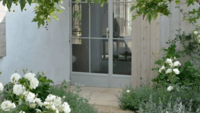 Garden Ornaments
