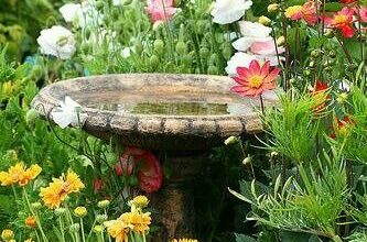 Garden Ornaments
