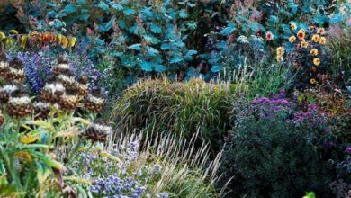 Garden Ornaments