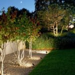 garden outdoor lighting