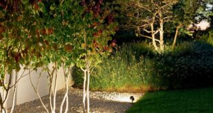 garden outdoor lighting