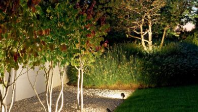 garden outdoor lighting
