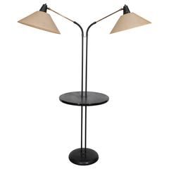 Gooseneck floor lamp