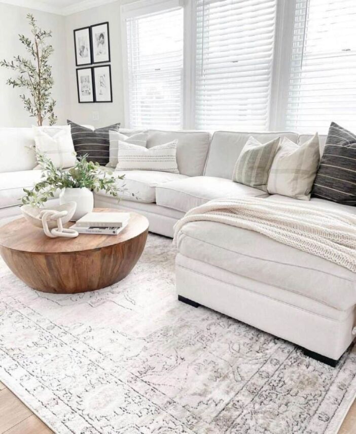 Grey Couch Sectional