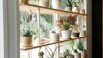 Hanging Shelves