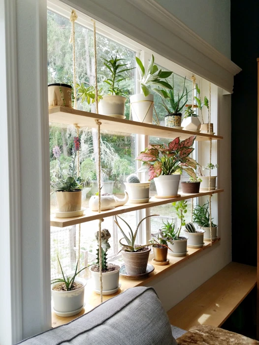 Hanging Shelves: A Space-Saving Solution for Your Home