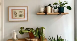 Hanging Shelves