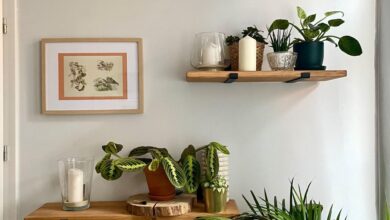 Hanging Shelves