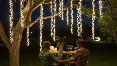 hanging lights outdoors