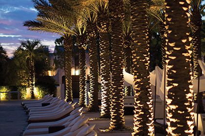 Hinkley landscape lighting Elevate Your Outdoor Space with Stunning Landscape Illumination