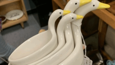 House Accessories