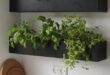 Indoor Herb Garden