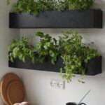 Indoor Herb Garden