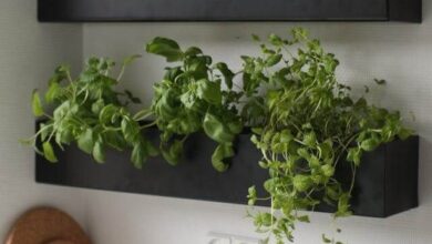 Indoor Herb Garden