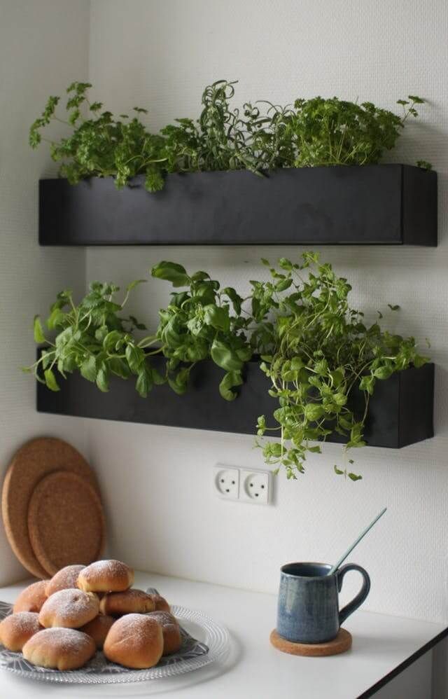 Indoor Herb Garden Grow Fresh Herbs Right in Your Kitchen with These Easy Tips