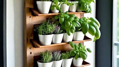 Indoor Herb Garden