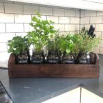 Indoor Herb Garden