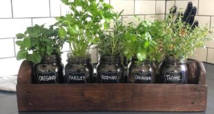 Indoor Herb Garden