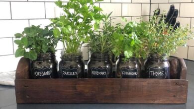 Indoor Herb Garden