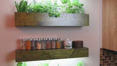 Indoor Herb Garden