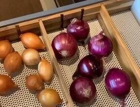 Kitchen Cupboard Designs